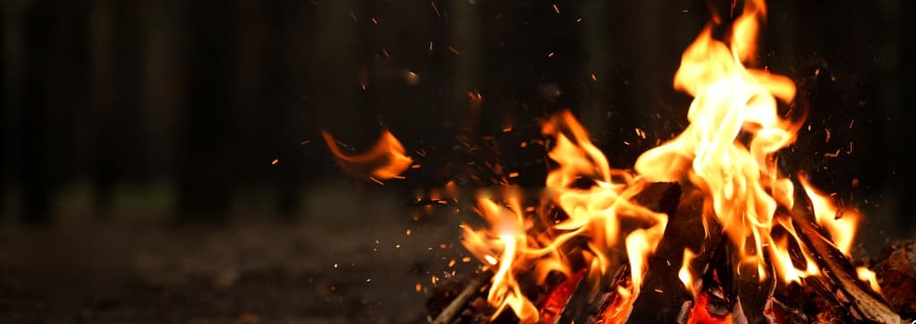 Feu de bois crépitant - FIREWOOD DIRECT Canada